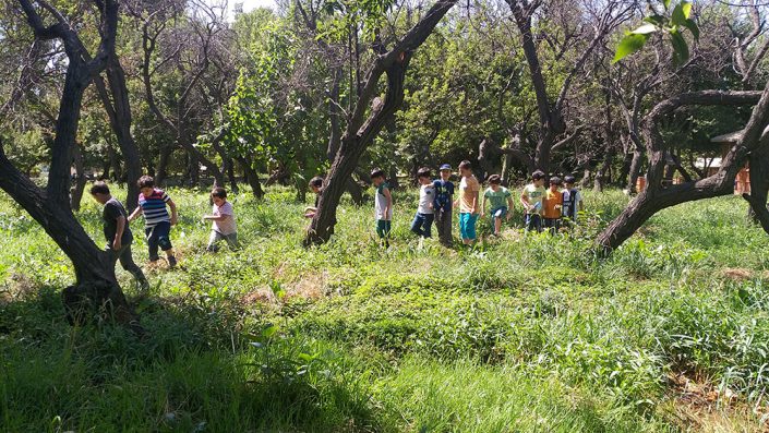 ۲۰۱۹۰۸۱۸_۱۱۳۲۰۶