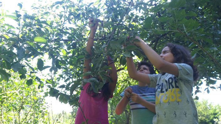 ۲۰۱۹۰۹۰۱_۱۱۰۵۵۸