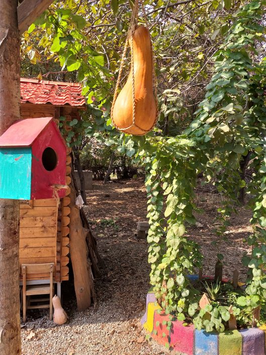 ۲۰۱۹۱۰۳۱_۱۲۲۹۱۸