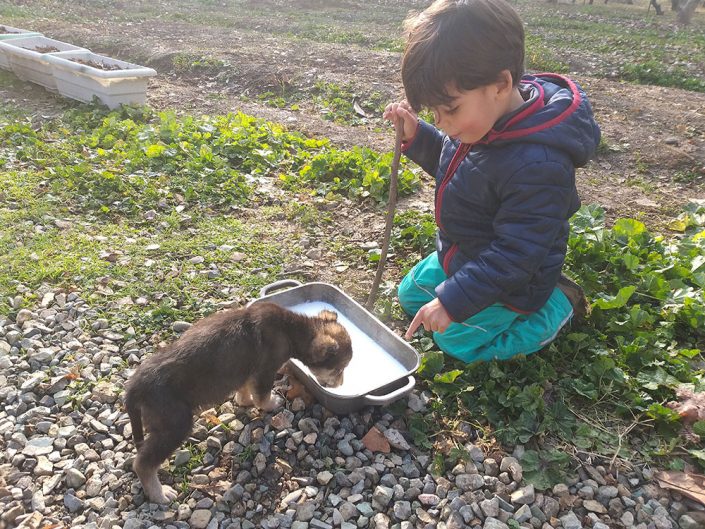 ۲۰۱۹۱۲۱۴_۰۹۴۳۴۹